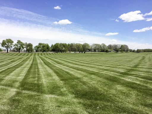 Professionally mowed landscaping with the mower lines still present